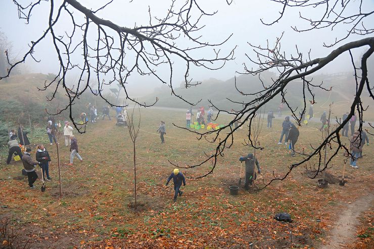глобальное потепление, тепловые волны, изменения климата, экология украины, климатические изменения, как бороться с жарой