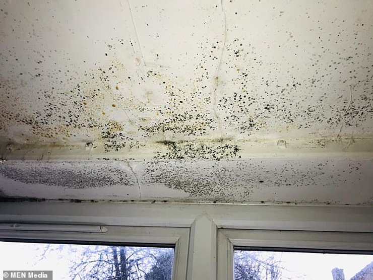 Жилье в Манчестере