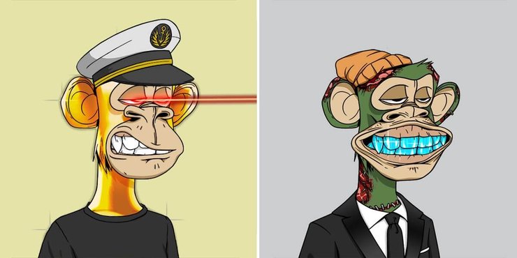 Bored Ape Yacht Club, обезьяна