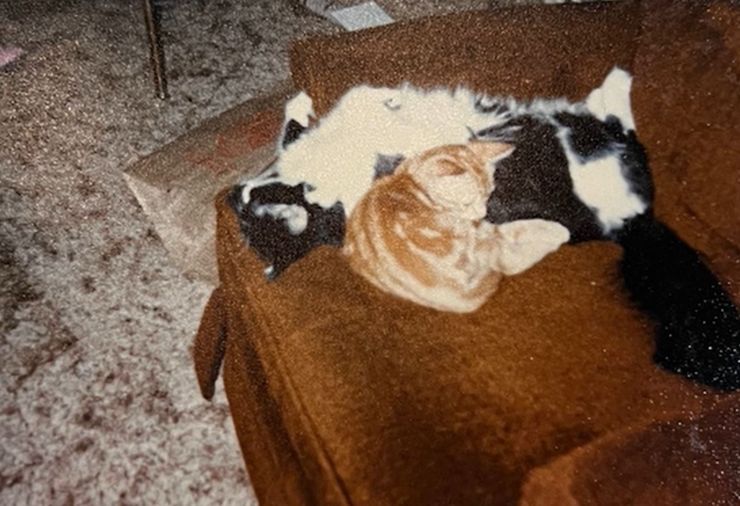 Фотоальбом родителей, курьезы, интересности, кадры, снимки, невероятные истории из жизни, приколы, странные случаи