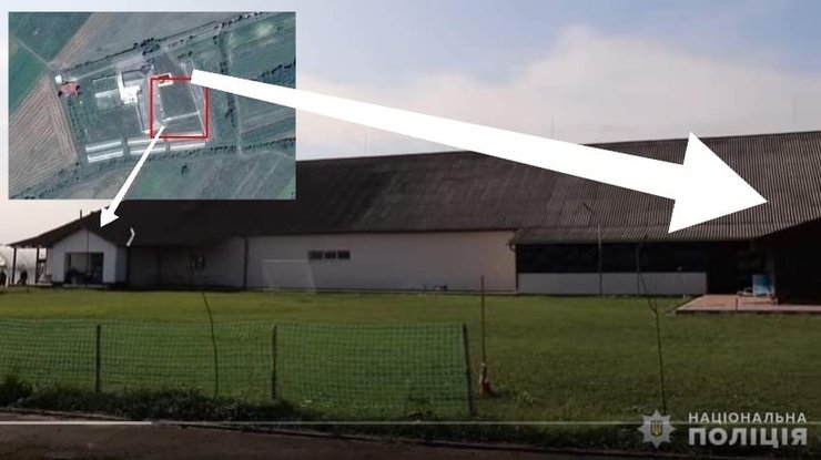 Стало известно, что грозит наркоторговцу из Закарпатья