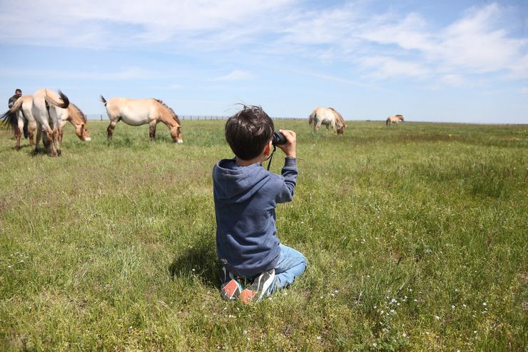Аскания-Нова, туризм в Украине, Херсонская область