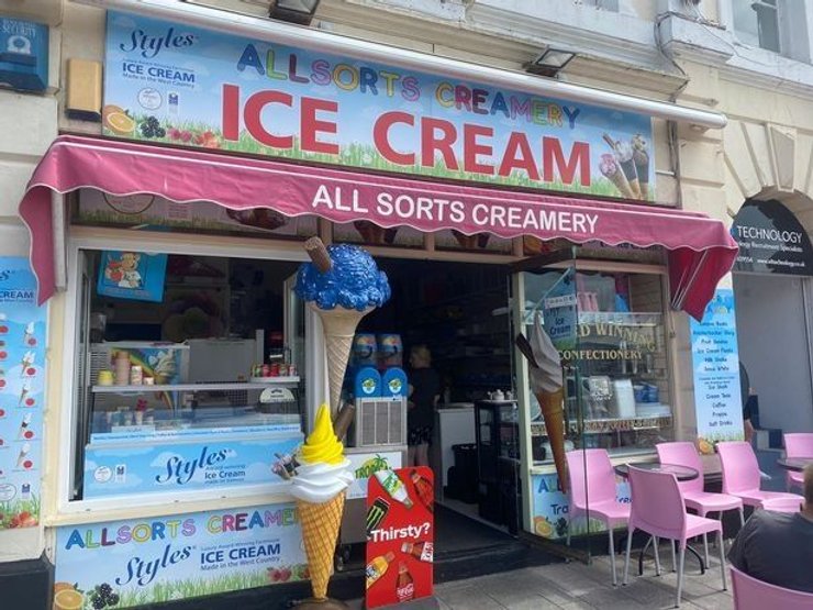 жителі містечка в британії, жителів містечка в британії атакують чайки