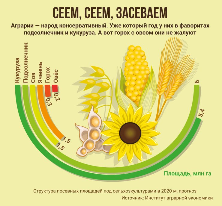 инфографика, структура посевных площадей, Украина