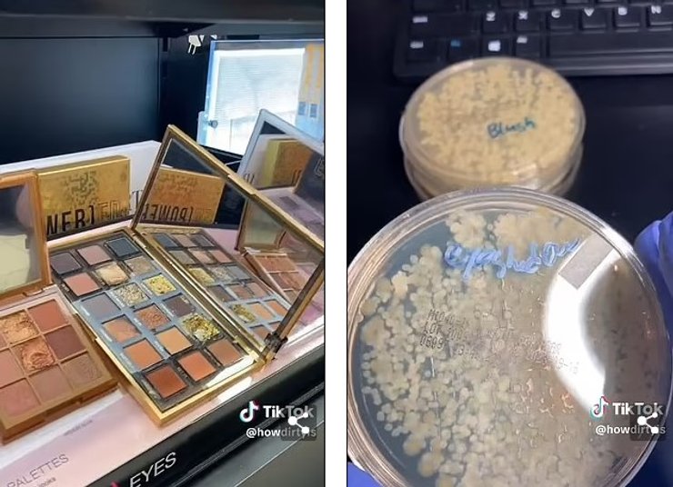 тени образец