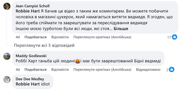 Пригода з ведмедем, коментар про ведмедя, ведмідь США