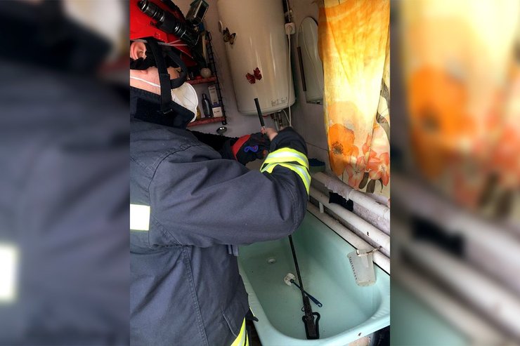 Змія, Дніпро, Рятувальники, Швабра, ГСЧС