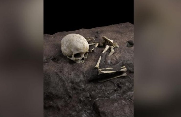 Кости человека