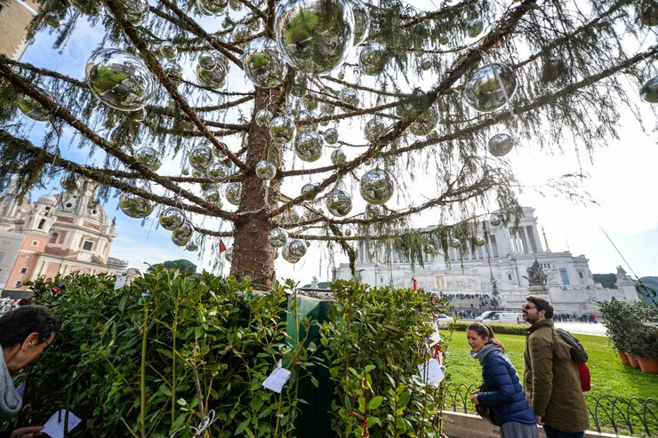 лысая елка, Рим, площадь Венеции, Пьяцца Венеция, рождественская елка, итальянцы