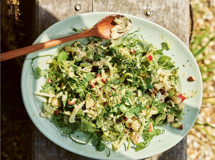 летний салат, рецепт салата, салат из яблок, салат из фенхеля, салаты