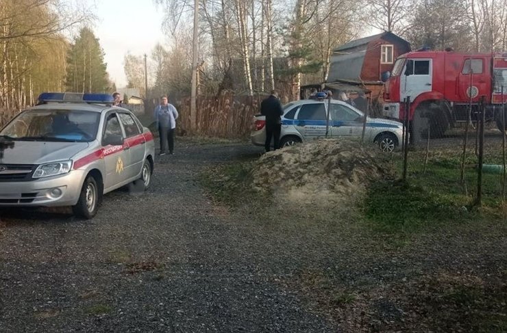 бпла орлан, бпла родничок, родничок, пожежні, поліція