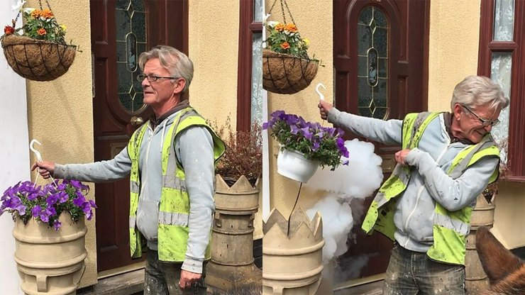 Пастка в саду, крали вночі, злодії, грабіжники, вулиця пільговиків, замінував сад, вкрали квіти, поставив пастки,