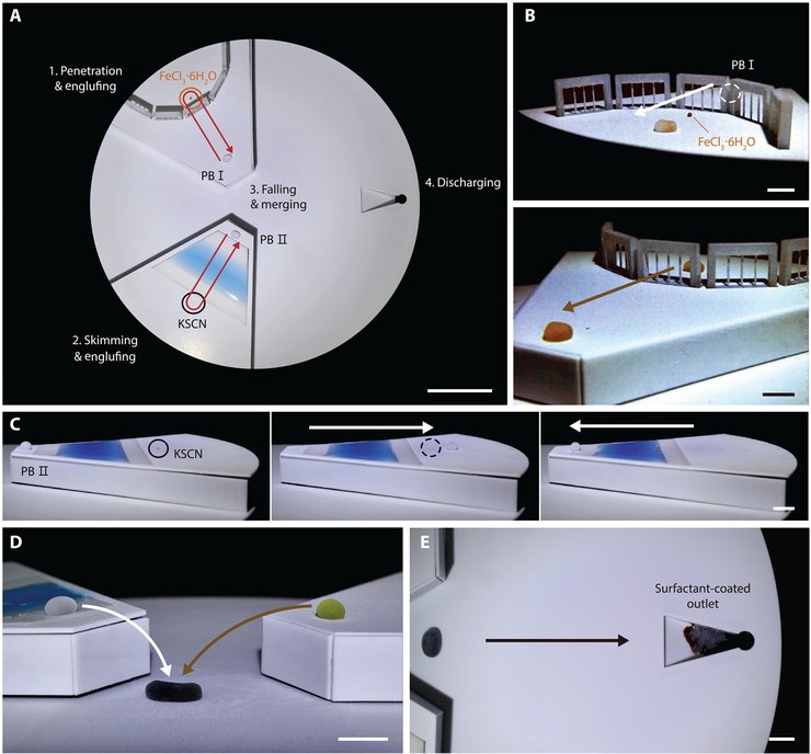 Рідкий робот, м'який робот, технології, фото