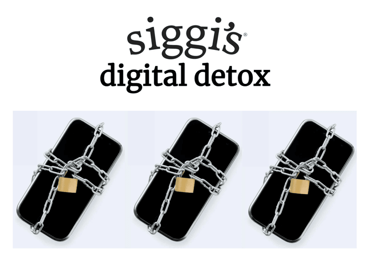 Молочная компания Сигги