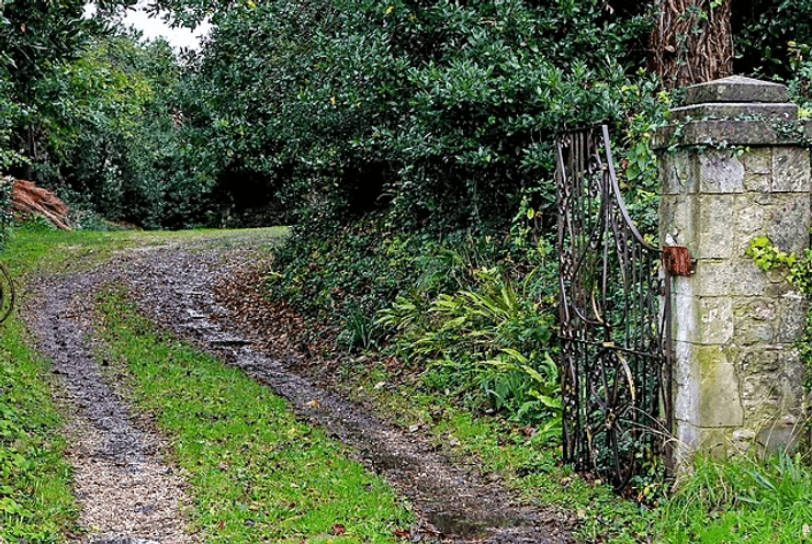 Дети разгромили дом, использовали топоры и бензопилы, нанесли огромный ущерб, дети разрушили дом, побили окна, испортили мебель,