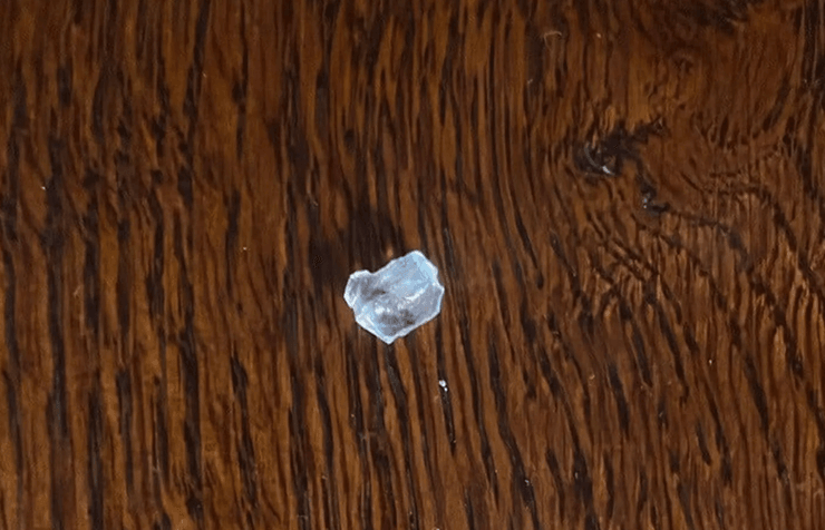 Парочка наелась в ресторане и отказалась платить, потому что якобы нашла в блюде стекло, попытку мошенничества сняла камера