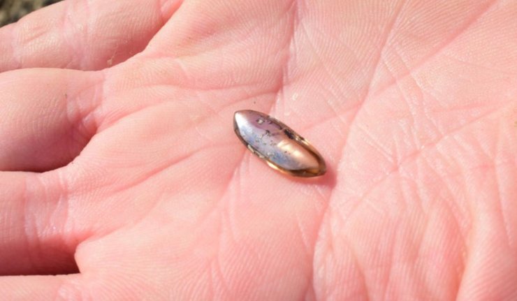 Крупный план найденного камня продолговатой формы на ладони