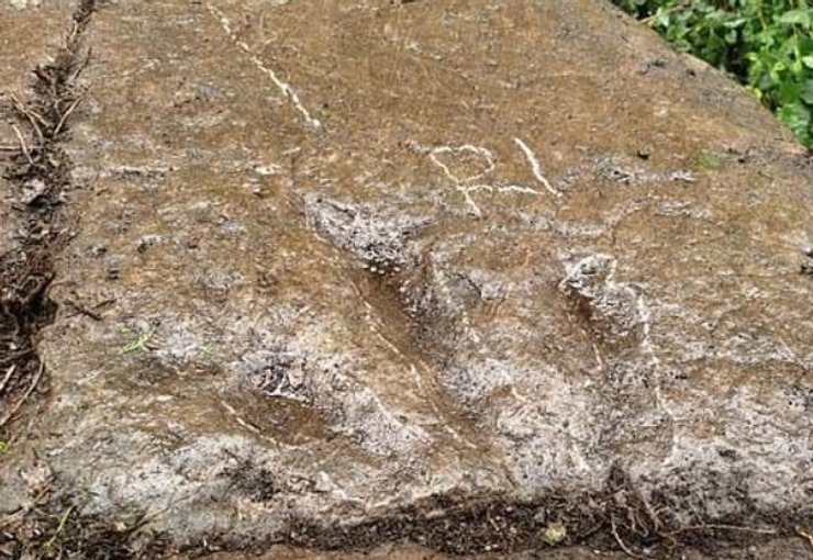 Китай, следы динозавров