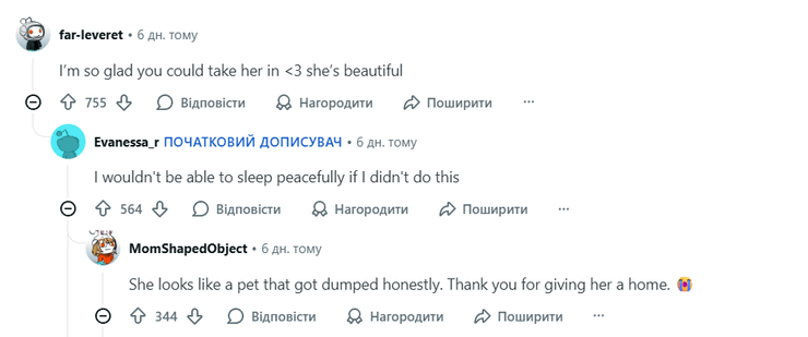 Комментарии о бродячей кошке