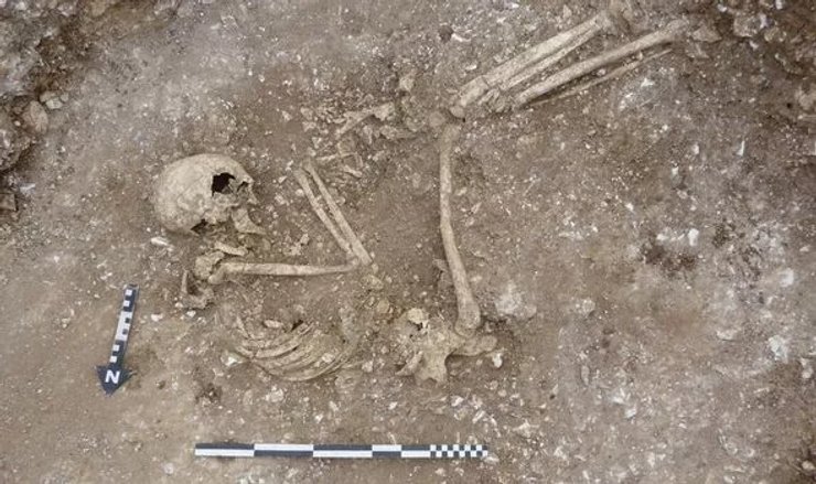 скелет, яма, фото