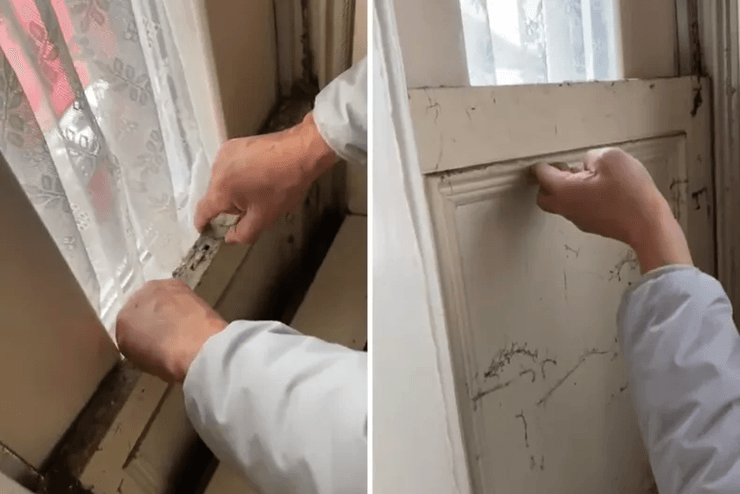 Старовинний особняк в Ірландії, старовинний монастир, подорож у часі, старовинна реліквія, унікальне відкриття, незвичайна знахідка, віконниці