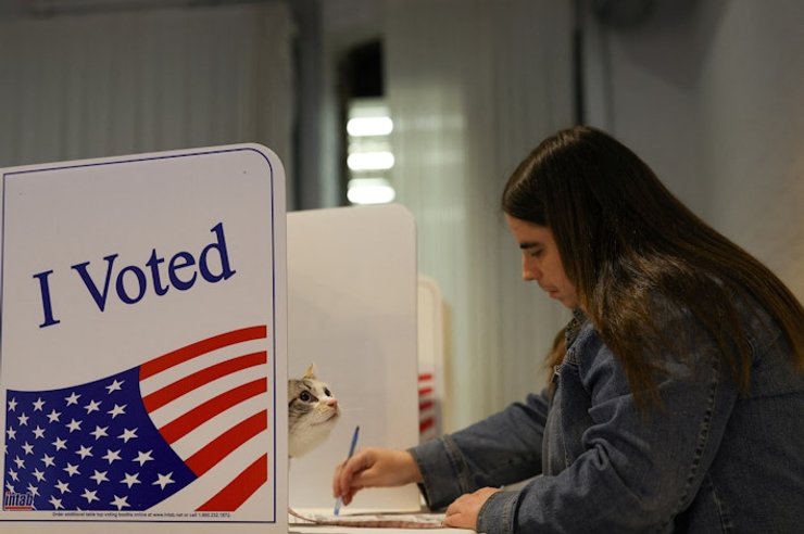Голосування на виборах у США