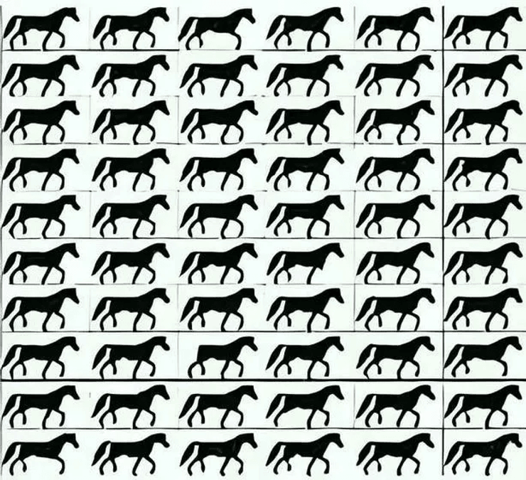 Візуальна головоломка, головоломка, гра, тест, завдання, хитра головоломка, кінь без хвоста, ідеальний зір, зір