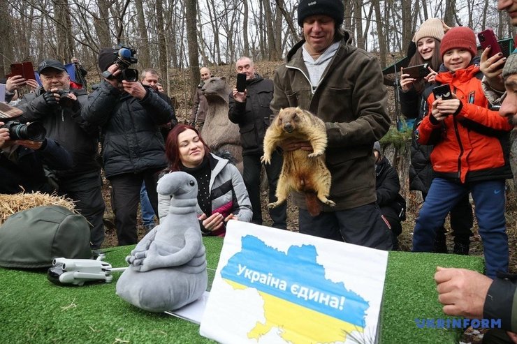 День сурка, прогноз Сурка, сурок Тимка, сурок, сурок, с Днем сурка, день сурка 2024, 2 февраля, сурок 2024, сурок проснулся