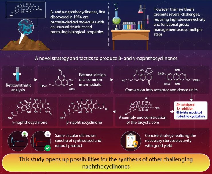антибиотики, молекула антибиотика, синтезировали антибиотик
