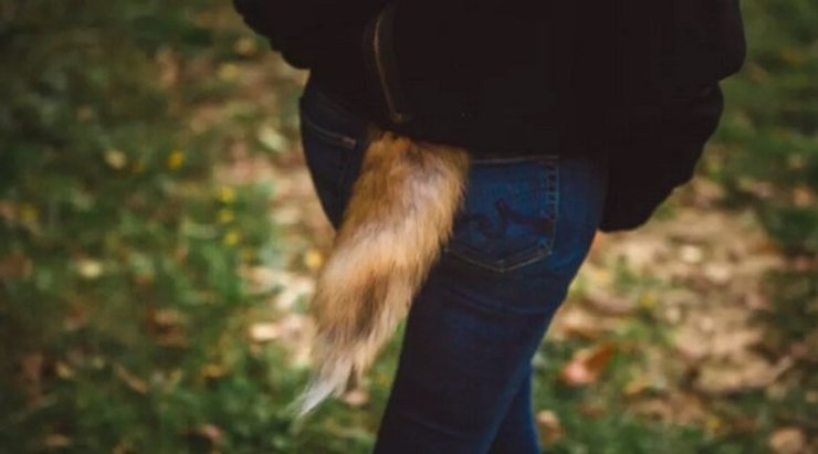 хвіст, людина