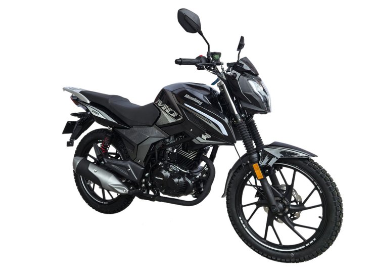 Musstang Region MT200-9, новые мотоциклы в Украине, новые мотоциклы, мотоциклы в Украине, Самые популярные мотоциклы в Украине, Самые популярные мотоциклы в Украине