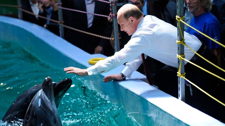 путин, дельфин