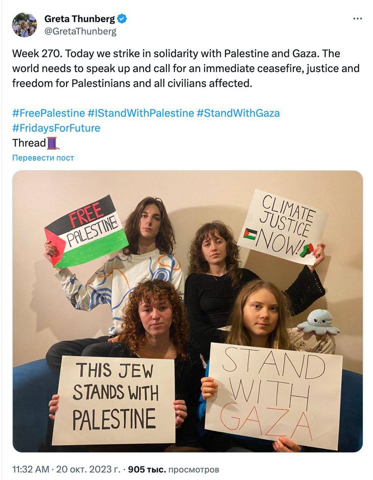Грета Тунберг, Грета Тунберг Палестина, Грета Тунберг сейчас