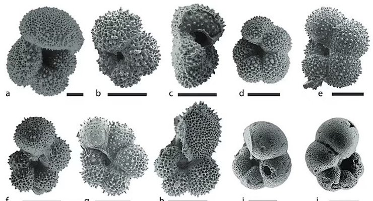 вимирання динозаврів комп'ютерна модель