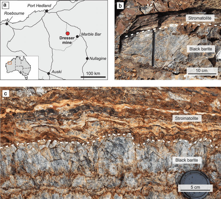 скалы, микробы, окаменелости