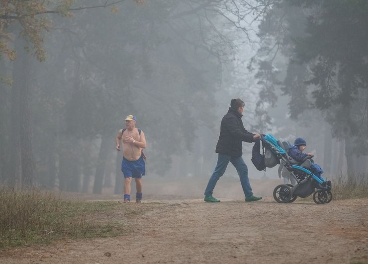 туман, загрязняющие вещества, погода, чистота воздуха