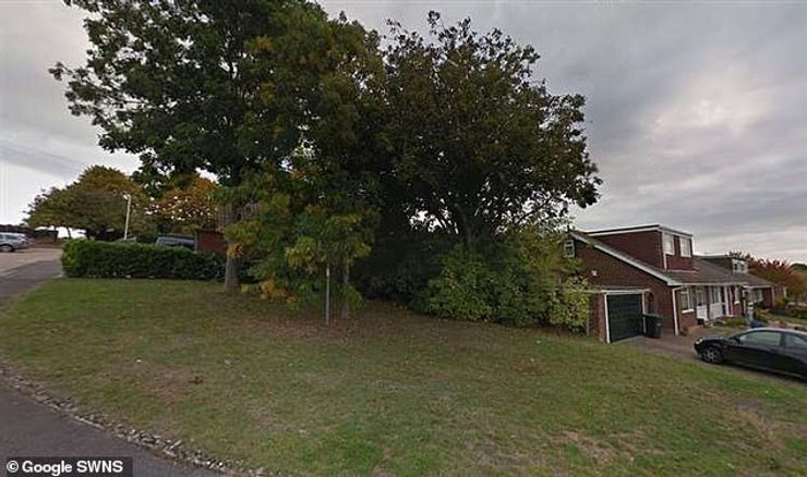 ділянка біля будинку 1