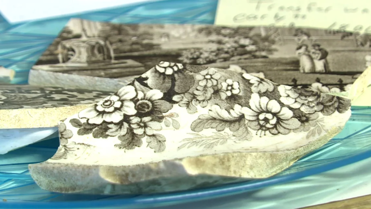 Пастор нашел артефакты под столетней магнолией, дерево, находки, археологические раскопки, фото, приколы, США