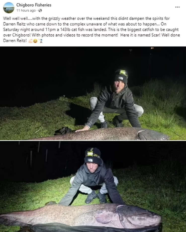 Сома рекордних розмірів спіймав чоловік у Великій Британії, риба, риболовля, улов, рекорди