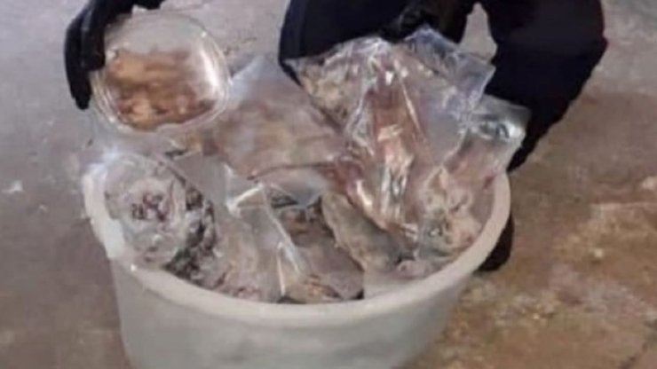 грызуны, мафия, италия