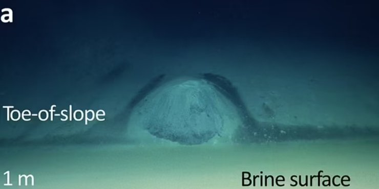 червоне море, басейн