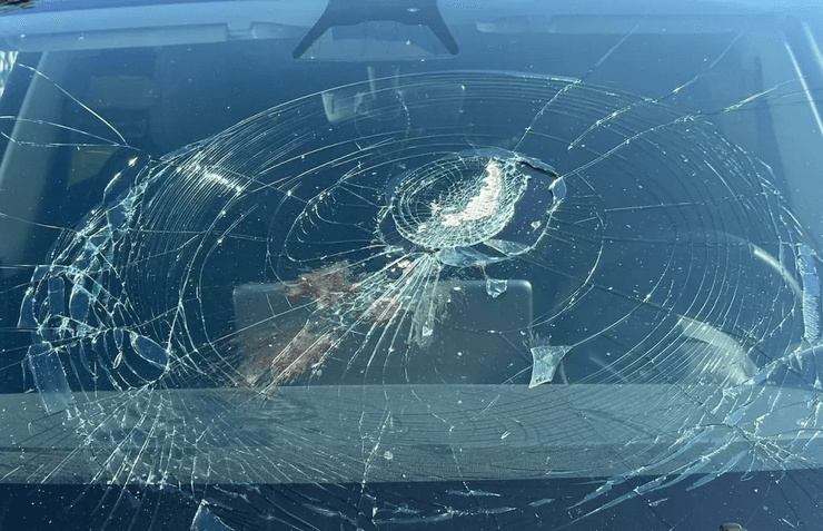 Риба впала з неба, риба впала на машину, риба розбила лобове скло, риба пошкодила Tesla, птах упустив рибу, пошкоджене лобове скло