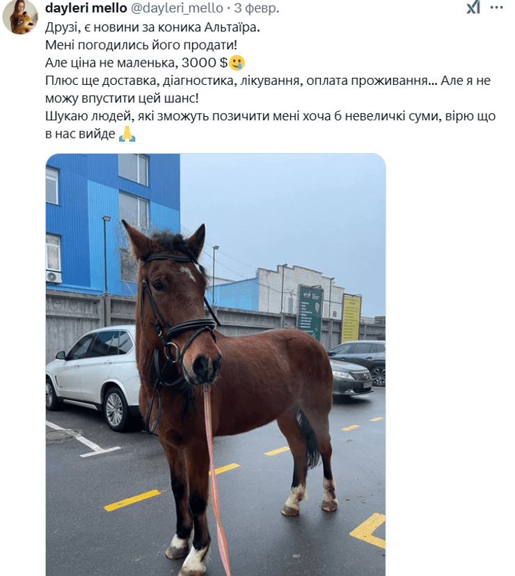 Пост о сборе на лошадь