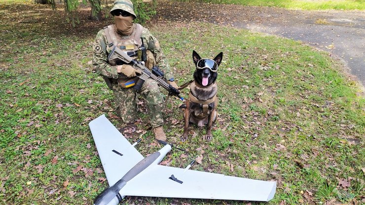 Зевс, собака, пес, безпілотник, нацгвардія