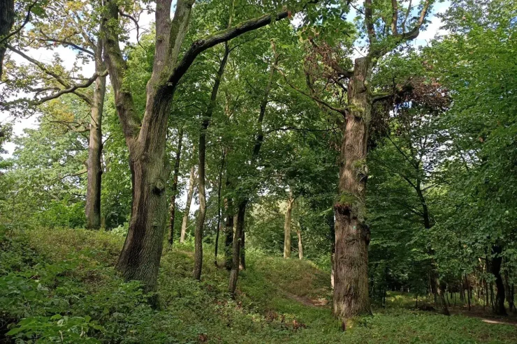 Фортеця зображена на картах