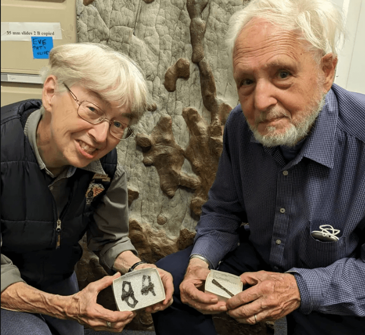 динозавры, окаменелость, птерозавры, исследования, археология, палеонтология, наука, летающие динозавры, Австралия, раскопки, птерозавры, открытия, тероподы, миграция