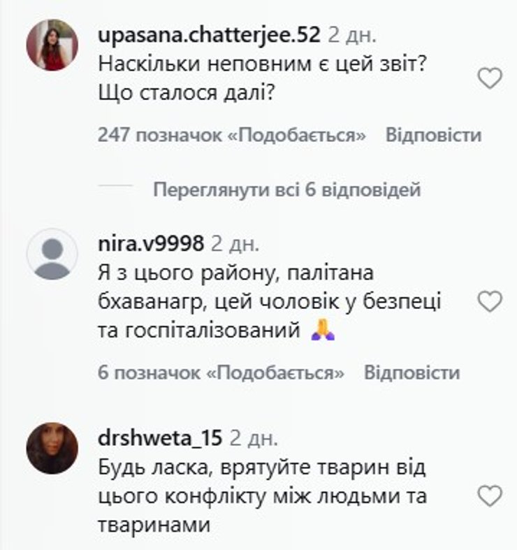скриншот комментария о пострадавшем от когтей львицы