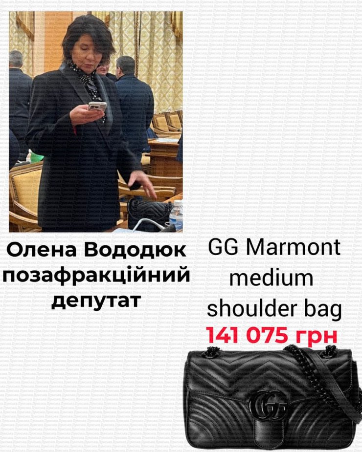 Лук депутатки Олени Вододюк