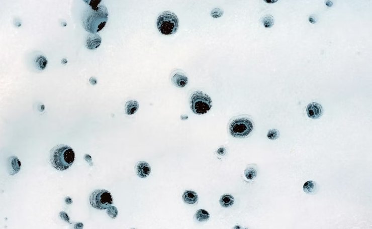 крижані кишені життя