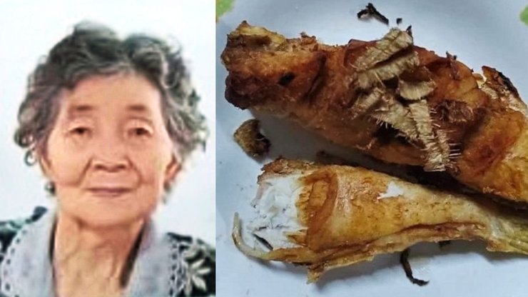 Жінка, риба, смажена риба, отруйна риба, іглобрюх, вечеря,